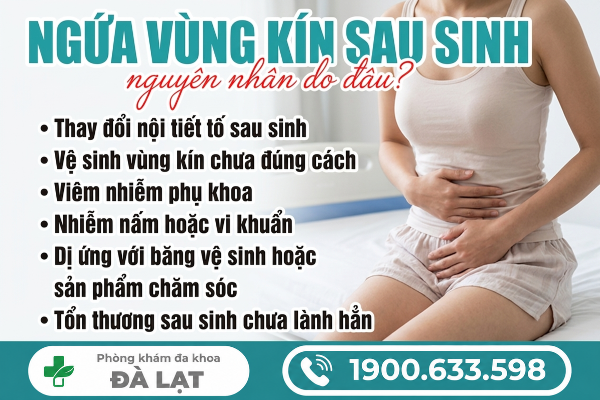 Hình ảnh minh họa